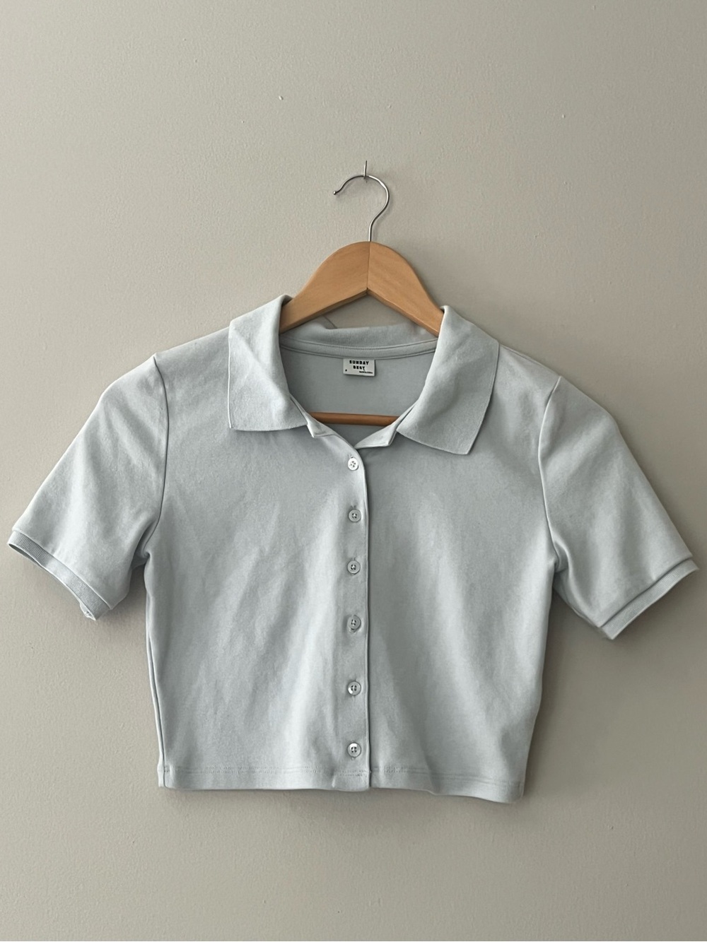 Sunday Best Aritzia Audio Top | Light Blue Cropped Polo Button-Up